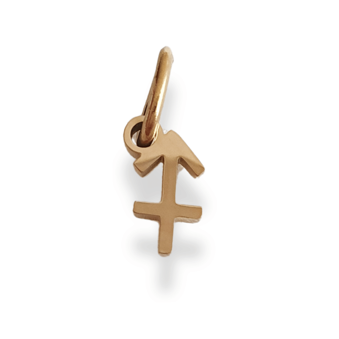 Charm Signo Zodiacal