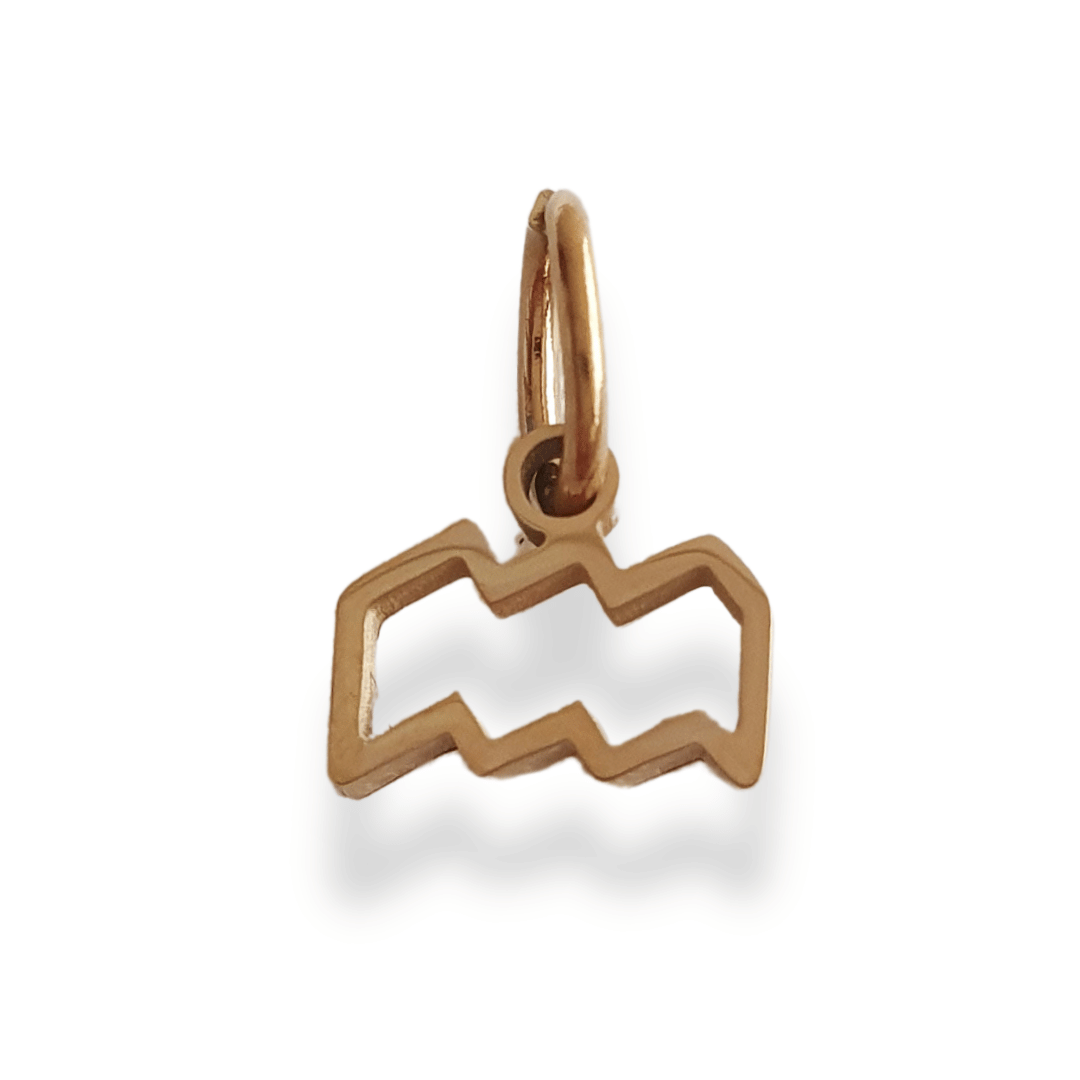 Charm Signo Zodiacal
