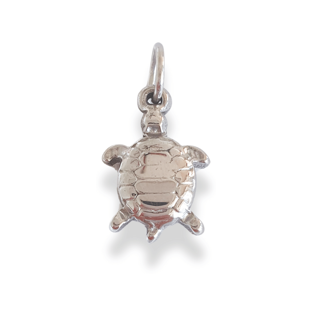 Charm Tortuga (plateado)