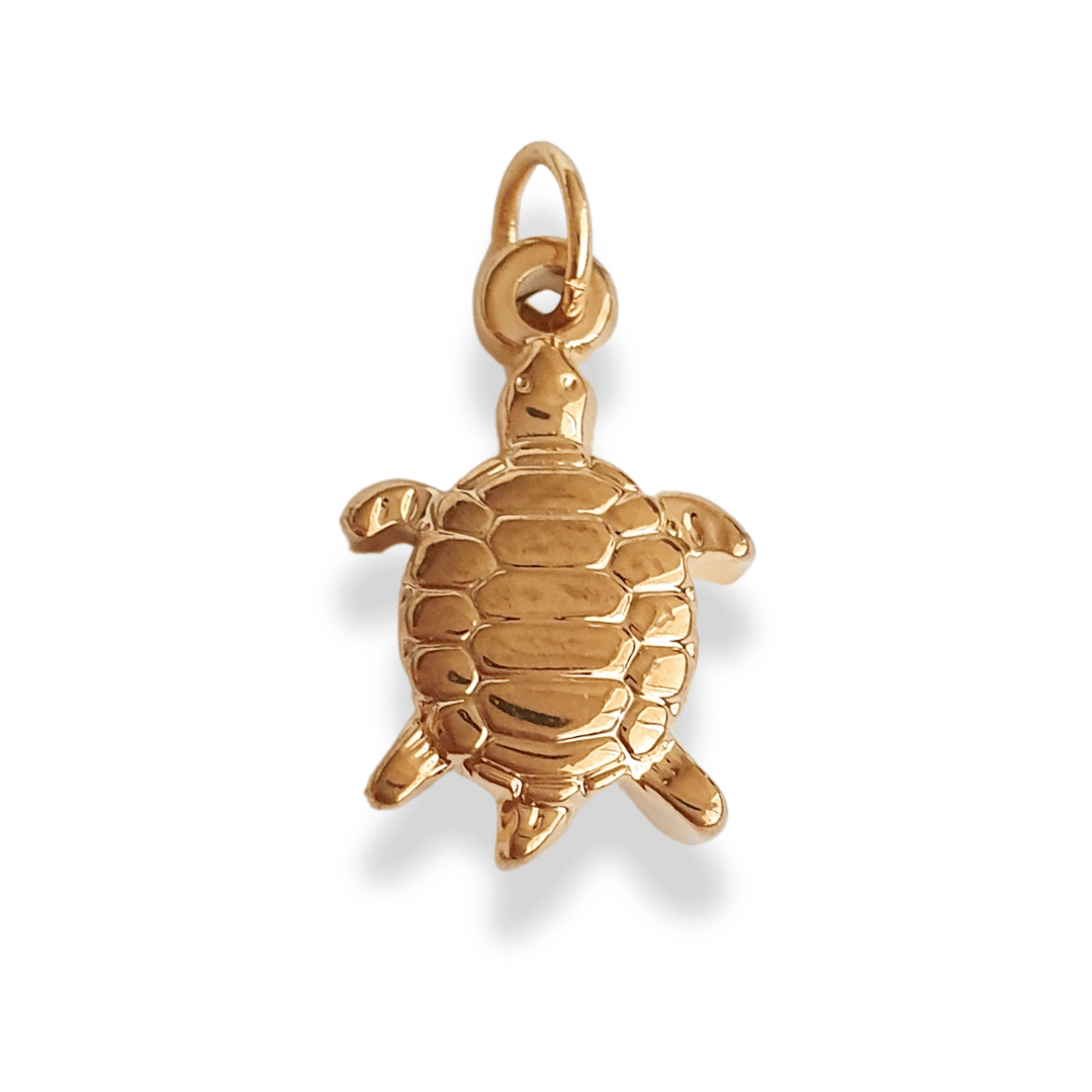 Charm Tortuga