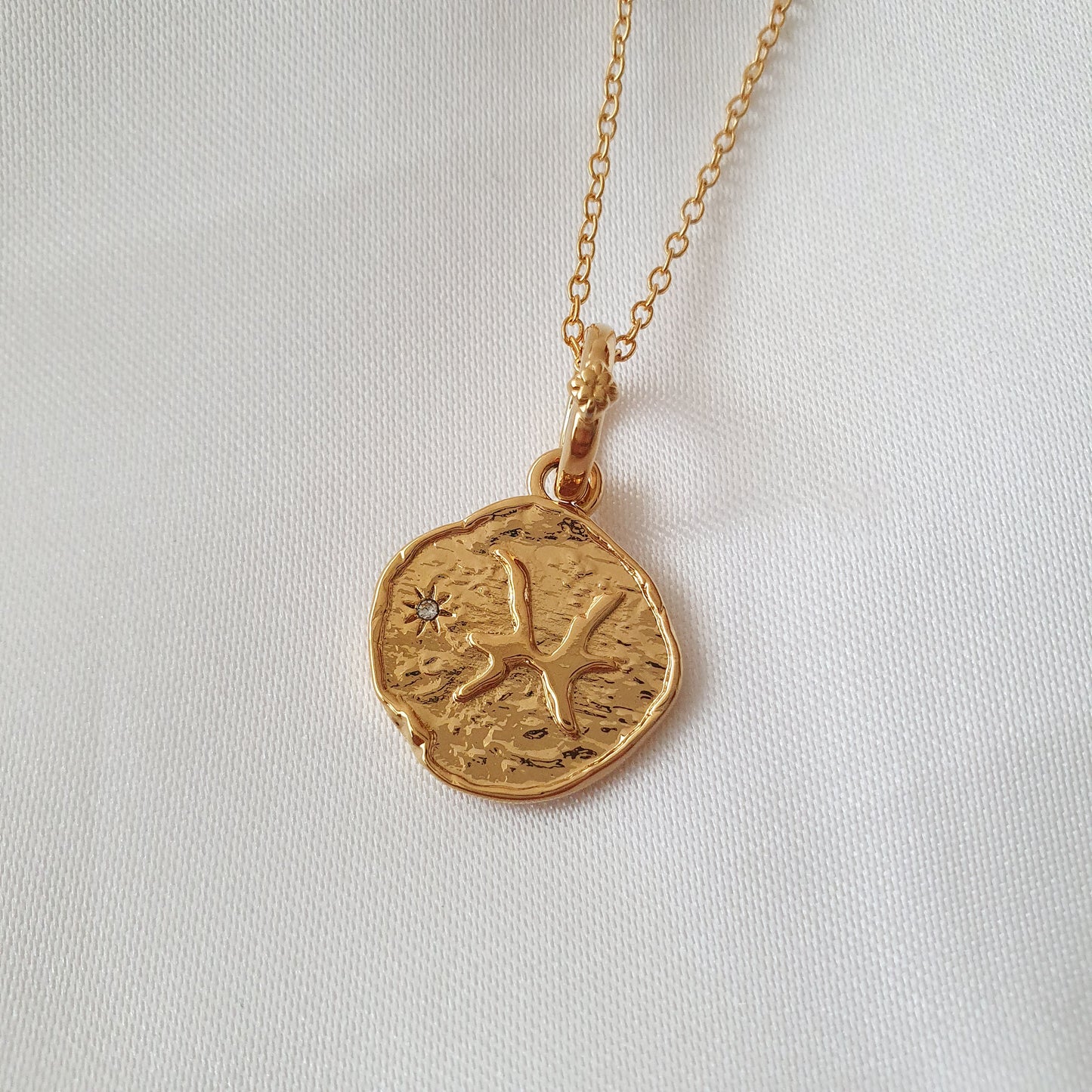 Collar Zodiaco II (Liquidación, solo quedan Aries, Géminis, Cáncer y Capricornio disponibles)
