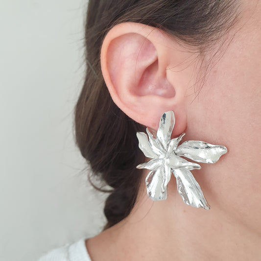 Aretes Helena (plateados)