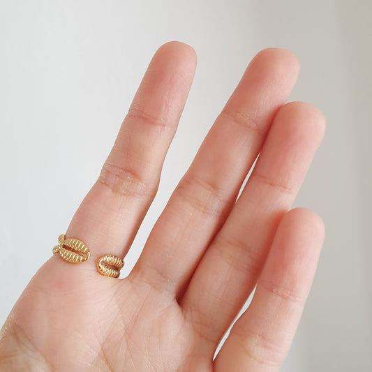 Anillo Mar