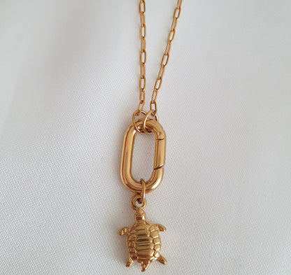 Charm Tortuga