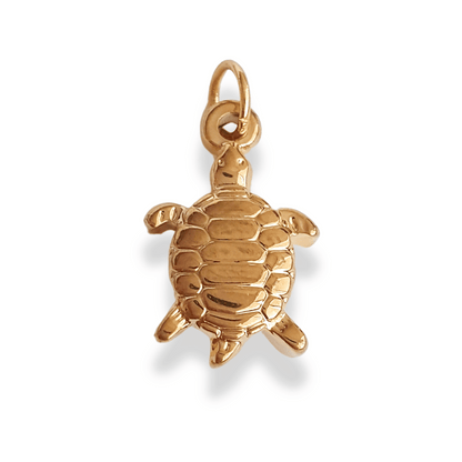 Charm Tortuga